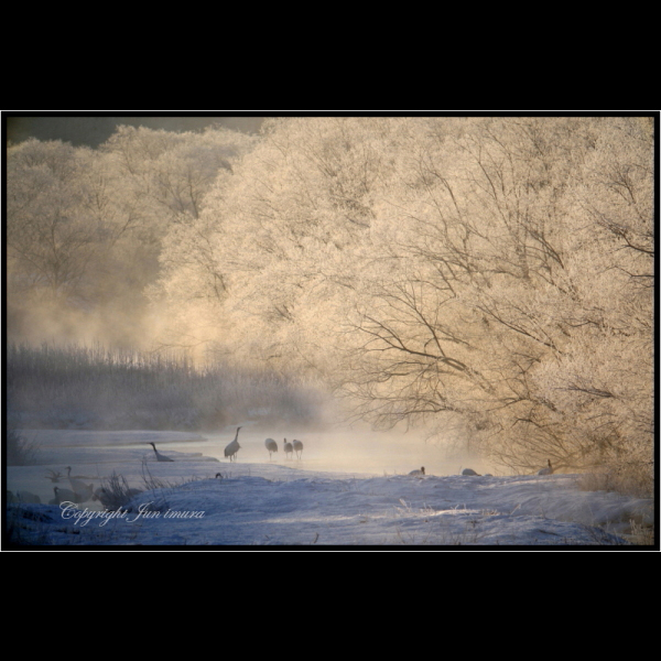 小さな国の大自然