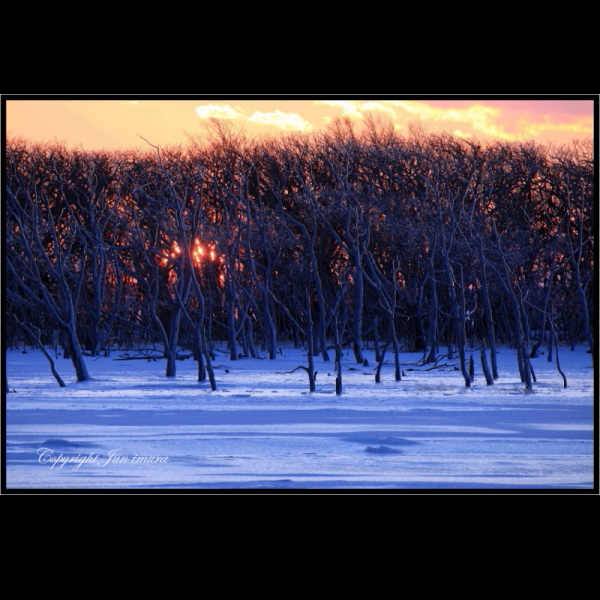 小さな国の大自然