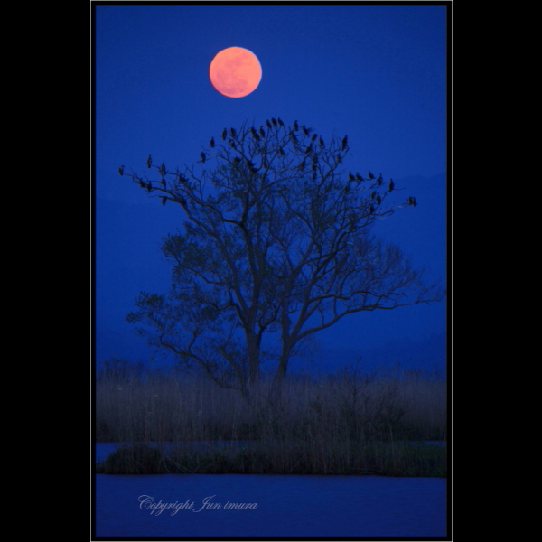 小さな国の大自然