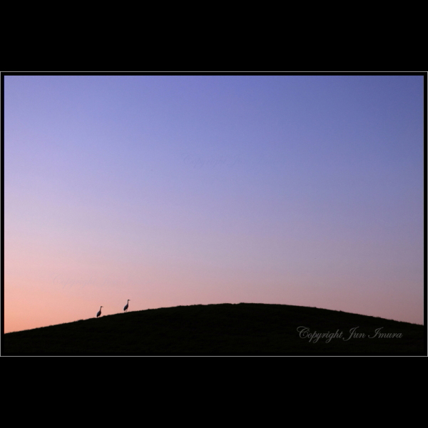 小さな国の大自然～WildLife～