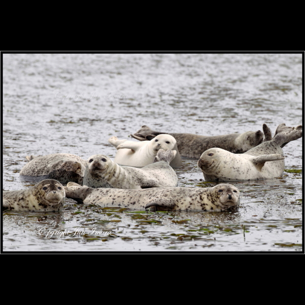 小さな国の大自然～WildLife～